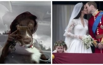 Фотографии, на которых есть скрытые секреты (18 фото)