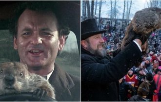 Почему День Сурка так популярен в США и как его отмечают (6 фото)