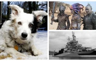 30 interesting facts that they won’t teach you at school (31 photos)