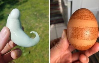 20 странных яиц, которые наверняка удивили даже тех, кто их снес (21 фото)