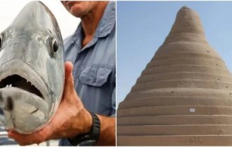 30 любопытных фактов из разных сфер нашей жизни (31 фото)