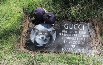 Вы будете жить вечно в наших сердцах: фотографии кладбища домашних животных в Лос-Анджелесе (20 фото)