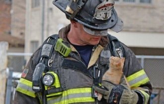 Пожарные и спасенные животинки (31 фото)