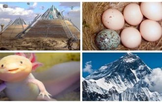 20 фактов для любознательных читателей (21 фото)