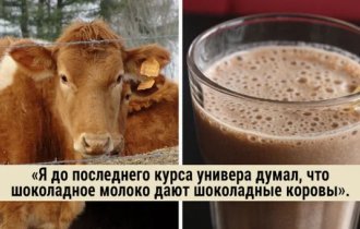 30 очевидных фактов, которые люди узнали уже в зрелом возрасте (31 фото)