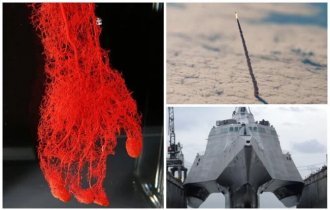 20+ необычных фотографий, которые удивят и озадачат (24 фото)