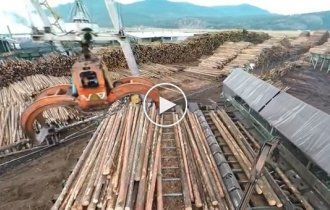 Впечатляющий автоматизированный процесс обработки древесины