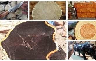 Как будет выглядеть Буратино из разной древесины? (40 фото)