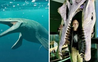 14 доказательств,  какими жуткими были доисторические монстры, чьи останки были  найдены в разных частях света (15 фото)