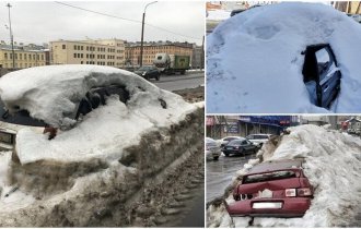 Русская весна: появляются первые городские подснежники (19 фото)