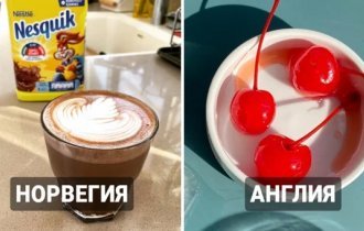 13 обычных продуктов питания, которые по разным причинам были запрещены в некоторых странах мира (14 фото)