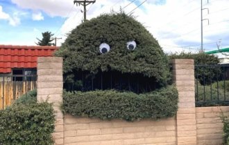 Creative people can turn anything into art (16 photos)