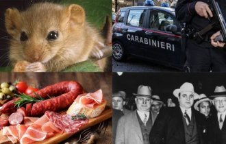 Деликатес Мафиози, который в Италии под запретом (8 фото)