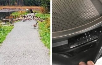 25 неудачников и их несчастная жизнь (26 фото)