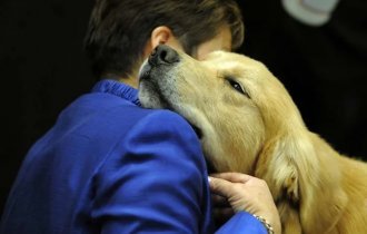 Понимает ли собака, что хозяин заболел? (3 фото)