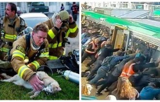 22 поразительные истории о человеческой доброте (23 фото)