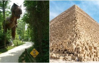 25 любопытных фактов, которые пополнят копилку знаний (26 фото)