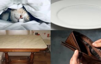 Проспать праздники: встречать Новый год или абстрагироваться (16 фото)