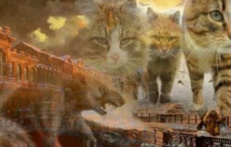 Как и почему в Петербурге любят котов: 5 основных «кошачьих» достопримечательностей (5 фото)