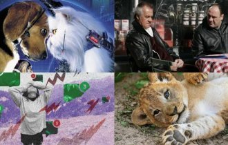 Стокгольмская лотерея, кошачье безразличие и другие интересные факты об окружающем нас мире (10 фото)