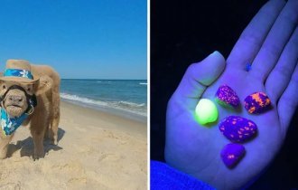 35 неожиданных, классных и безумных штук, найденных на пляже (36 фото)