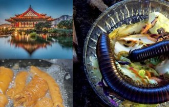 Салат из сороконожки и толстая кишка гуся: небольшой экскурс по странным китайским блюдам (16 фото)