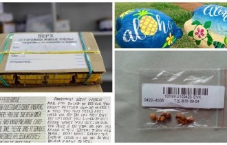 10 странных вещей, которые люди пересылали почтой (12 фото)