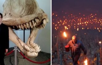 15 увлекательных изображений невероятных вещей (16 фото)