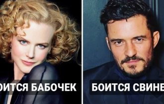 13 странных звёздных фобий, которые покажут ваших любимых кумиров с неожиданной стороны (14 фото)