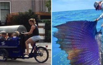 15 фотографий редких моментов, которые расширят ваш кругозор (17 фото)