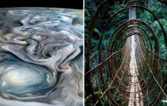 15 потрясающих изображений незаурядных вещей (16 фото)