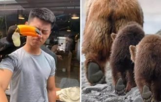 20 идеальных кадров, сделанных в самый удачный момент (21 фото)