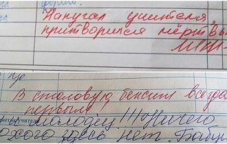 Замечания в школьных дневниках, которые ошарашили родителей (17 фото)