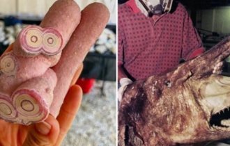 17 увлекательных изображений диковинных находок (18 фото)