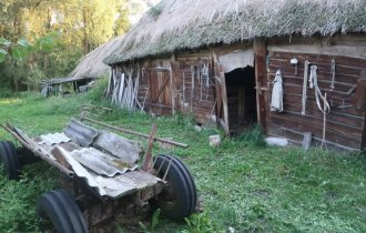 Белорусское Полесье. Деревня на болоте (35 фото + 1 видео)