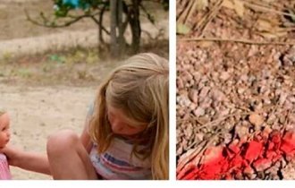 30 фактов, которые вас удивят (31 фото)