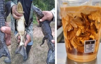 Фотографии удивительных находок и странных созданий природы (30 фото)