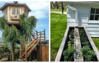 Country greetings: funny garden ideas that you can borrow (16 photos)