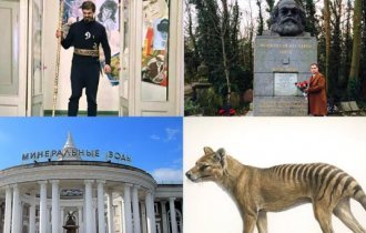 Внезапные факты обо всем на свете: теперь живите с этим (14 фото)