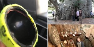 12 photographs that reveal the inner essence of different objects (13 photos)