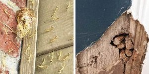 Неожиданные находки в жилых домах (20 фото)