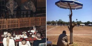 «Люди капитализма»: 35 фото, которые смотрят на капитализм с иронией (36 фото)