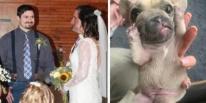 35 обманчивых фото, к которым придется присмотреться (36 фото)