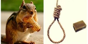 One of a kind cute striped whale with suicidal tendencies (5 photos)