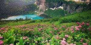 Краса природи (19 фото)