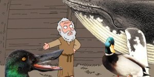 Широконоска: Хищная утка с сотнями «зубов» внутри клюва. Выглядит как древнегреческий монстр (7 фото)
