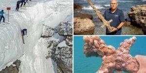 17 любопытных изображений необычных находок (16 фото)
