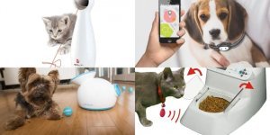 Технологии для питомцев: прикольные и полезные гаджеты, облегчающие жизнь с домашними животными (9 фото)