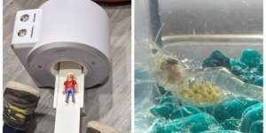 20 strange and unusual things that are nice to look at (21 photos)