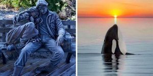 50 photos that will please your inner perfectionist (51 photos)